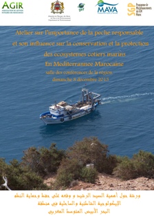 Chalutiers pret des falaisesA3S