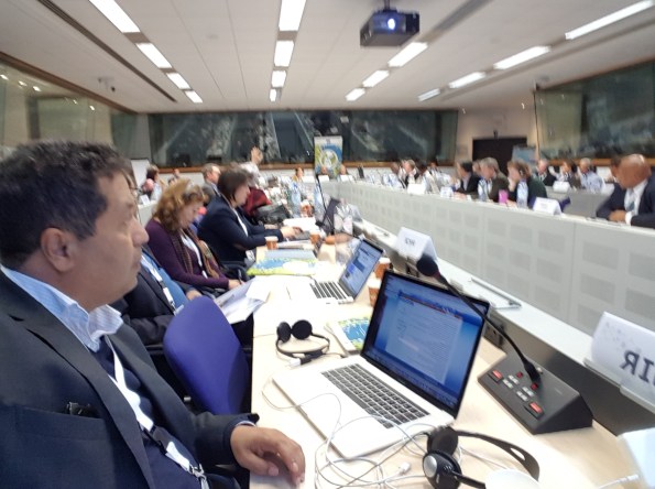 Tranatlantique nibani