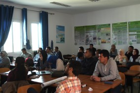 OSFSTH Concentré.jpg