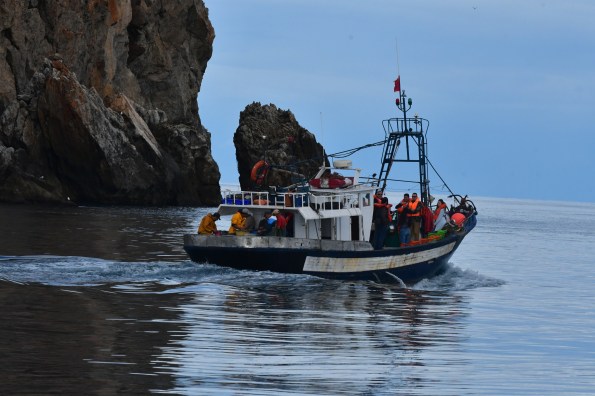 Pesca tourisme best ras sidi Abid